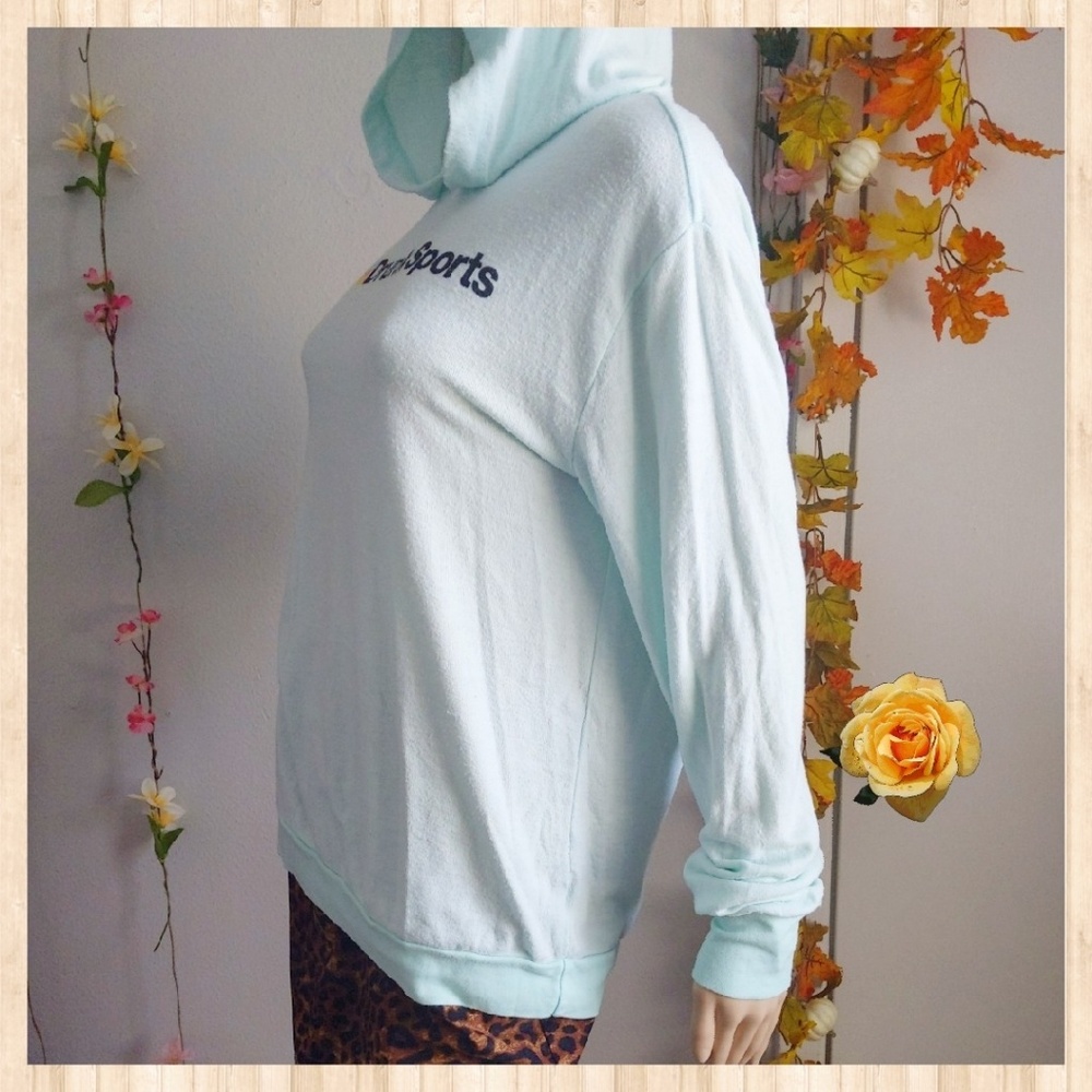 NWOT WILDFOX HOODIE SWEATSHIRT OVERSIZED V… - Picture 4 of 8